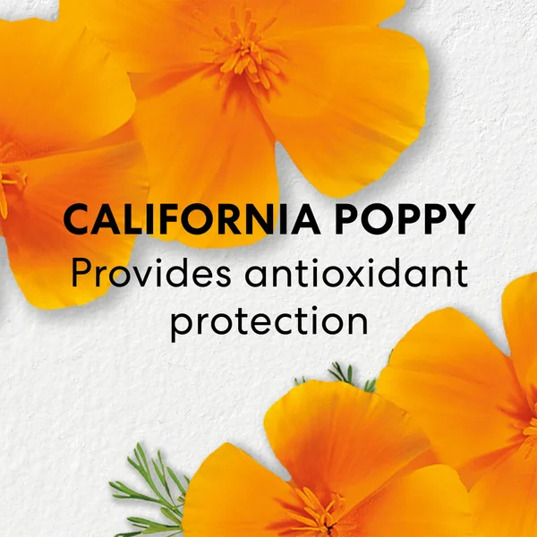 BareMinerals Skinlongevity Long Life Herb Serum 50ml 4 BareMinerals Skinlongevity Long Life Herb Serum 50ml - Image 4