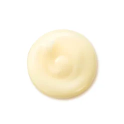 Shiseido Benefiance Wrinkle Smoothing Cream 30ml -Anastasia Beverly Hills Sales 14228366 3485021594371302